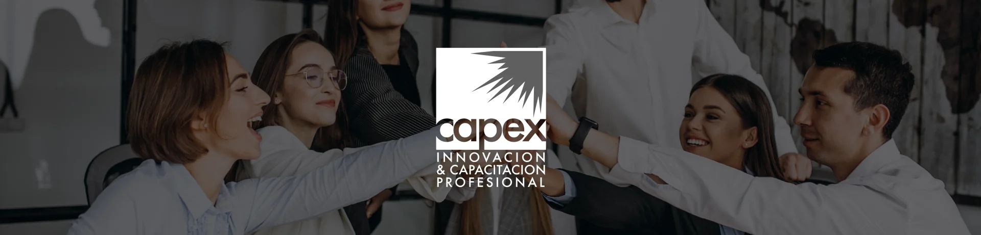 CAPEX Innovación & Capacitación Profesional